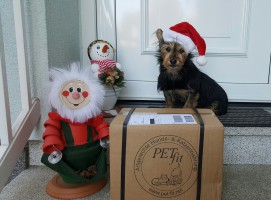 PETfit Paket